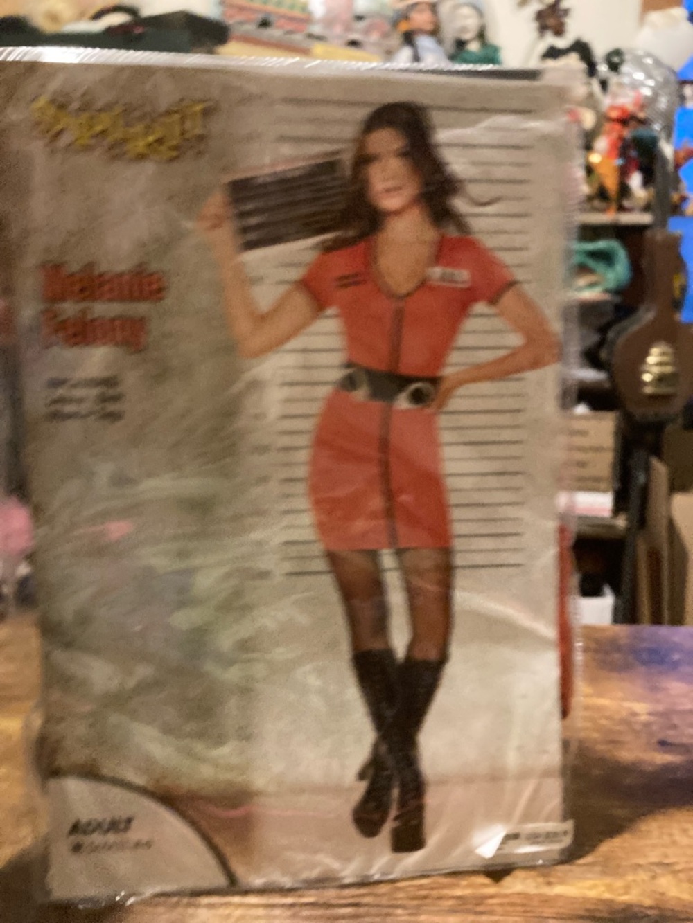 Spirit Melanie Felony women's costume
